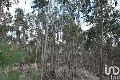 Terreno  em Rio de Couros e Casal dos Bernardos