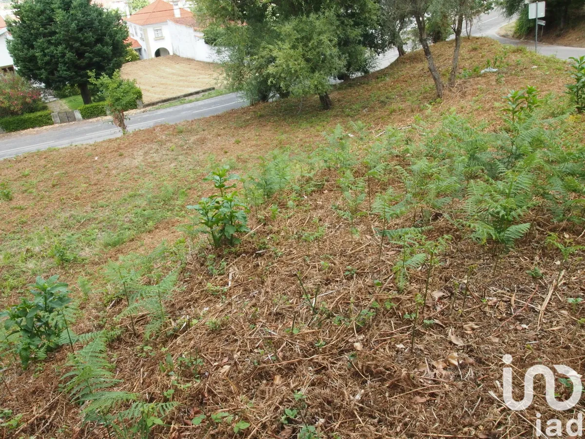 Terreno de 840 m² em Lousã e Vilarinho