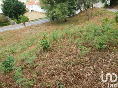 Terrain à Lousã e Vilarinho