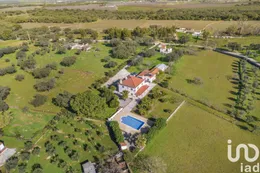 Farm  in Borba (Matriz)