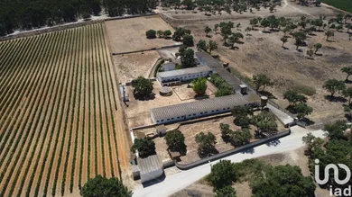Terreno em Quinta do Anjo