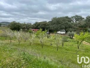 Farm  at São Martinho das Amoreiras