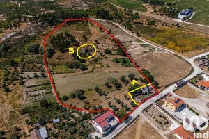 Quinta  em Moimenta de Maceira Dão e Lobelhe do Mato