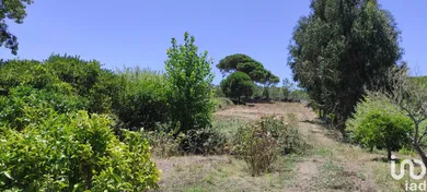 Land at Sesimbra (Castelo)