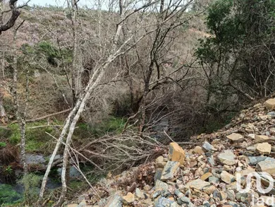 Terreno  em Graça