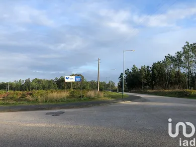 Terreno em Vieira de Leiria