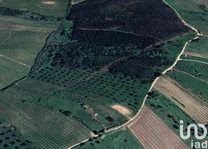 Terrain  à Painho e Figueiros