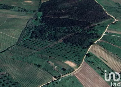 Terreno  em Painho e Figueiros
