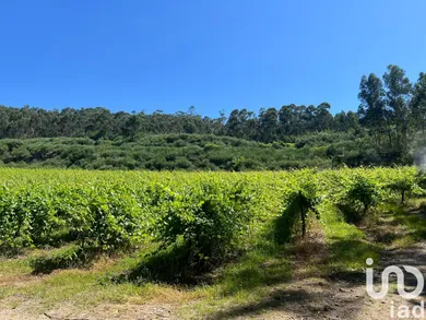 Farm land  in Sousela