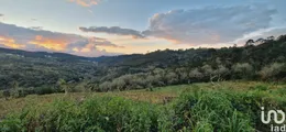 Land  in Mafra
