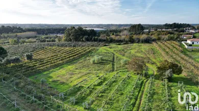 Terreno urbano  em Sangalhos