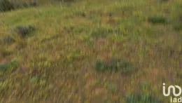 Farm land in Quarteira