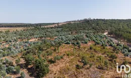 Terrain  à Alpiarça