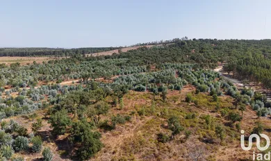 Terrain  à Alpiarça