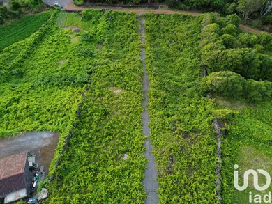 Land in Santa Luzia