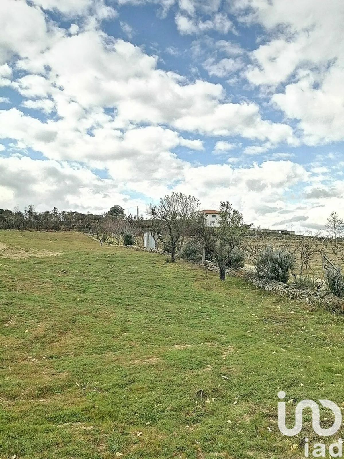 Terreno urbano de 9600 m² em Ervededo