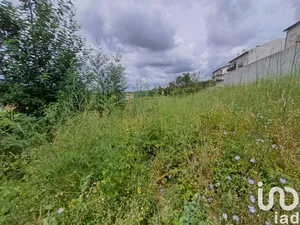 Land  in Serpins