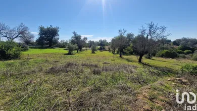 Terreno em Almancil