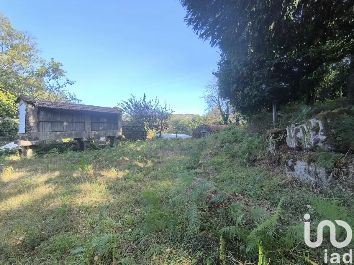 Terreno urbano de 3186 m² em Ruivães e Campos