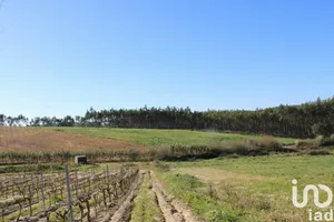 Terreno rústico  em Silveira