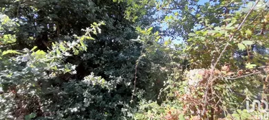 Terrain  à Seixo da Beira