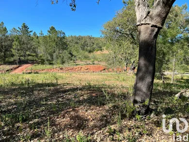 Terrain  à Querença, Tôr e Benafim