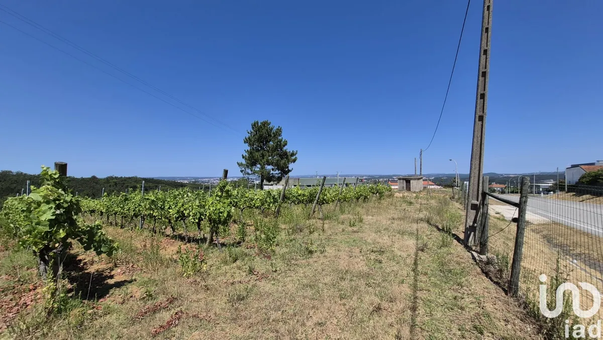 Terreno de 2687 m² em Parceiros e Azoia