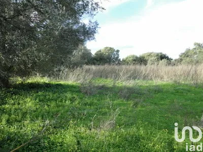 Fotografia 1 de Terreno de 3855 m² em Almancil