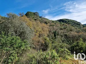 Land  in Porto de Mós - São João Baptista e São Pedro