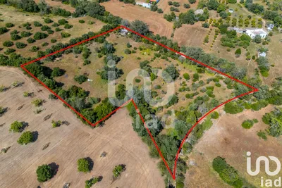Fotografia 8 de Terreno de 7500 m² em Loulé
