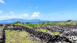 Terrain à Criação Velha