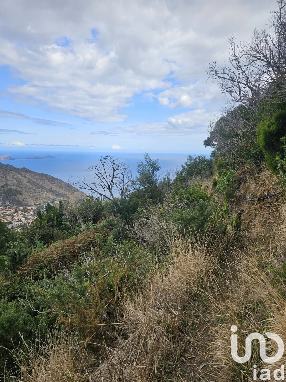 Terreno de 10 100 m² em Água de Pena