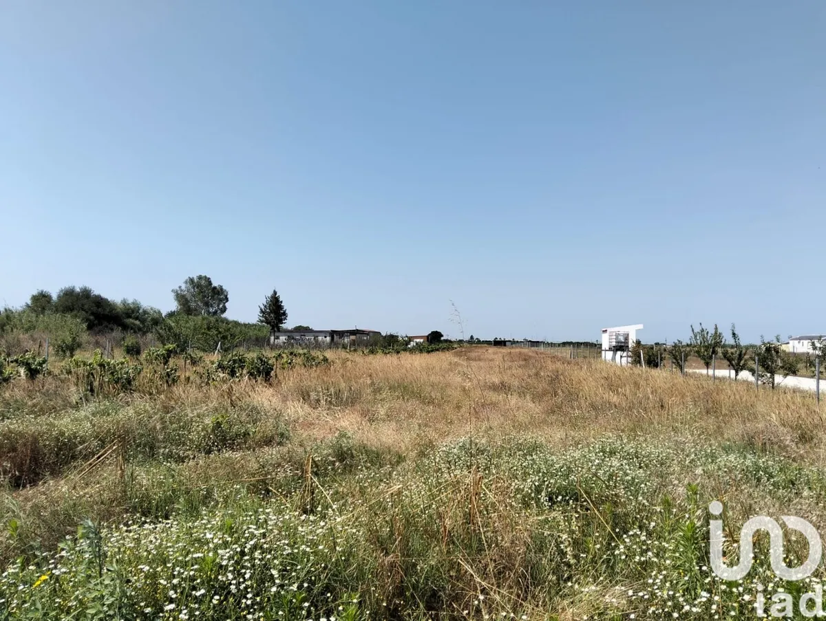 Terreno de 6720 m² em Benfica do Ribatejo