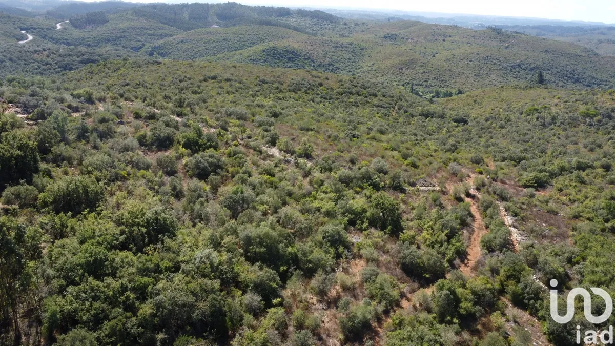 Terreno de 15 939 m² em Freixianda, Ribeira do Fárrio e Formigais