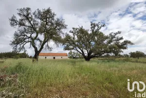 Casa de campo  em Alvalade