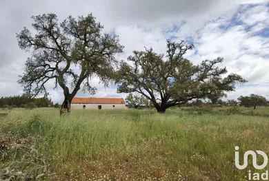 Casa de campo  em Alvalade
