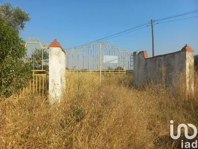 Land in Cuba