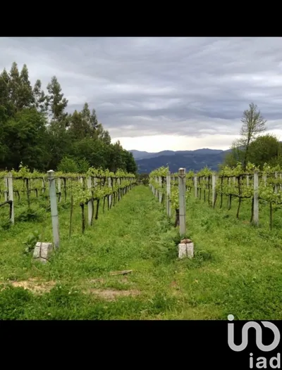 Fotografia 8 de Terreno rústico de 45 500 m² em Sendim