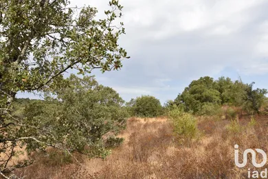 Terreno em Areias e Pias