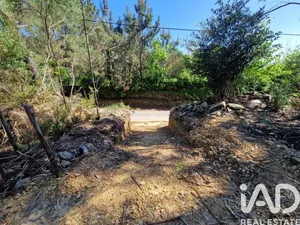 Terreno urbano  em Nogueira, Meixedo e Vilar de Murteda
