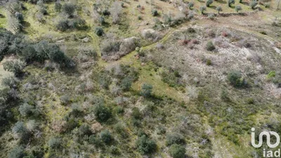 Fotografia 3 de Terreno de 13 960 m² em Chãos
