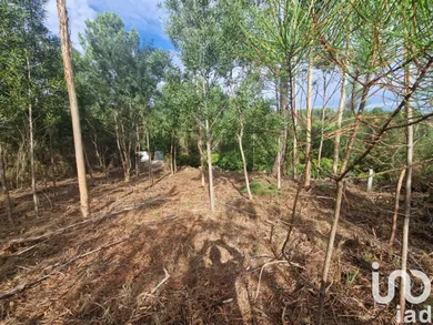 Terreno urbano em Nogueira, Meixedo e Vilar de Murteda