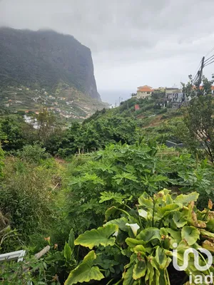 Land  at Porto da Cruz