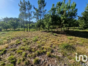 Farm land  at Torre E Vila Mou