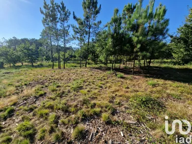 Farm land at Torre E Vila Mou