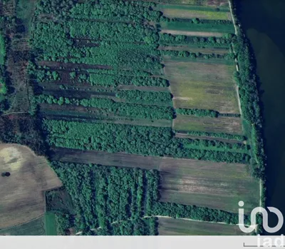 Fotografia 3 de Terreno de 6750 m² em Geraz Do Lima (Santa Maria, Santa Leocádia E Moreira) E Deão