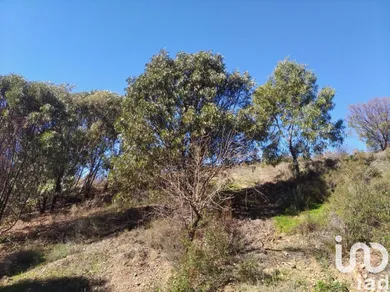 Terrain à Conceição e Cabanas de Tavira
