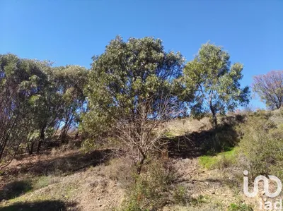 Fotografia 9 de Terreno urbano de 268 m² em Vila Nova de Cacela