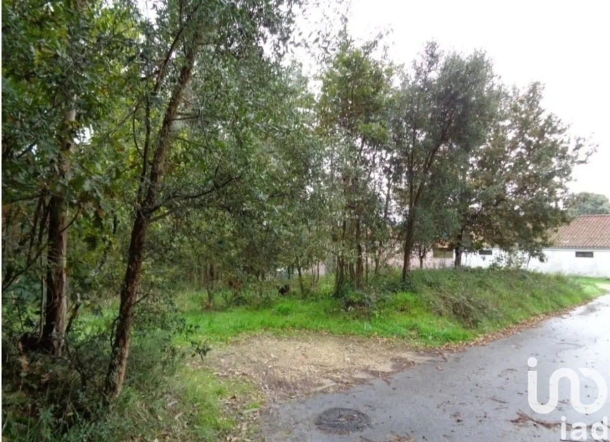 Terreno de 7047 m² em Ovar, São João, Arada e São Vicente de Pereira Jusã