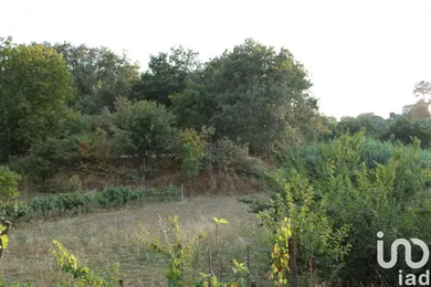 Terreno  em Nogueira do Cravo